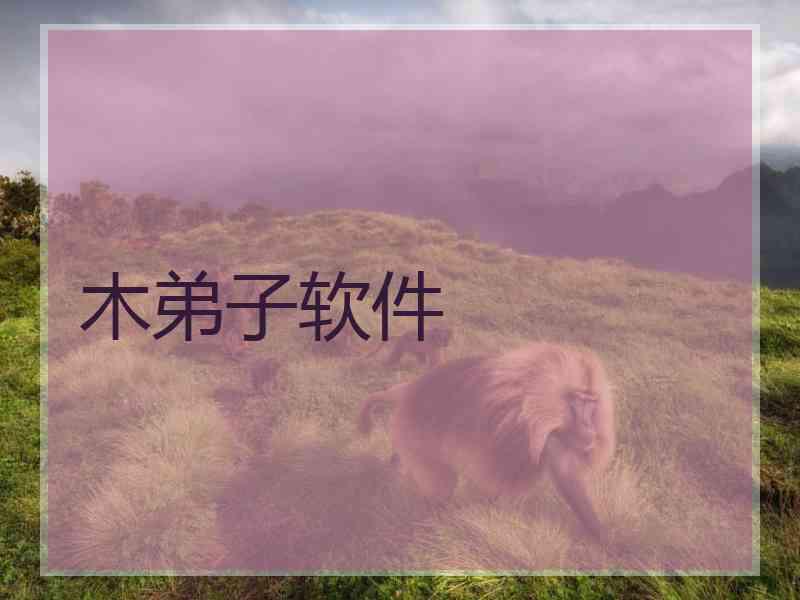 木弟子软件