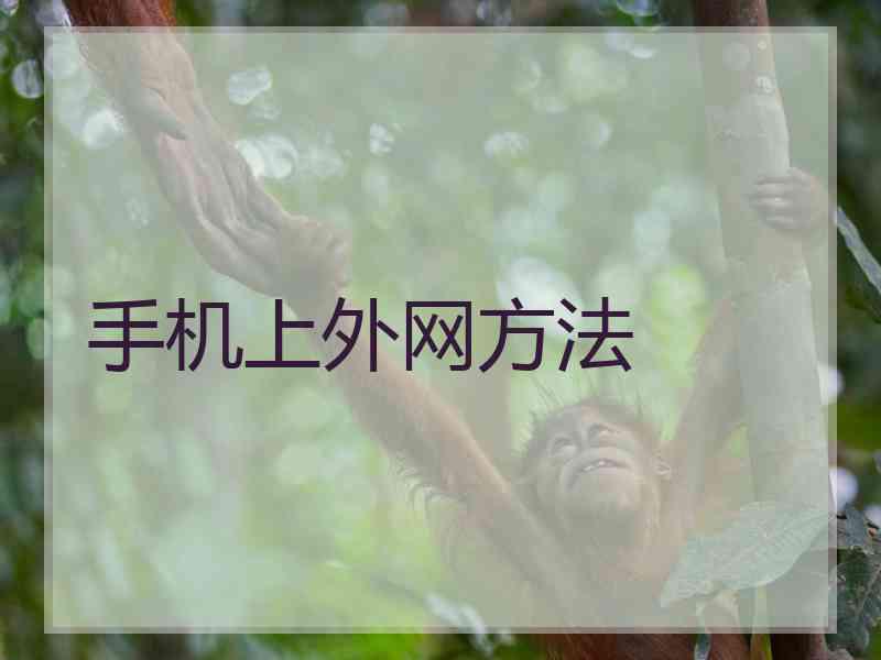 手机上外网方法