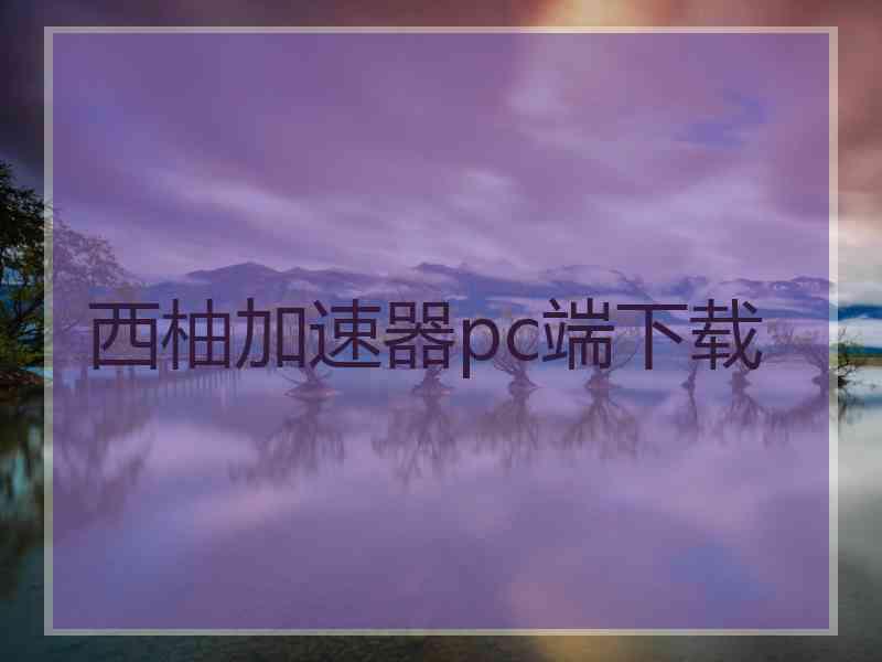 西柚加速器pc端下载