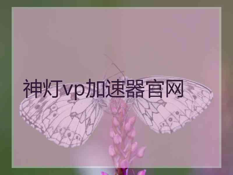 神灯vp加速器官网