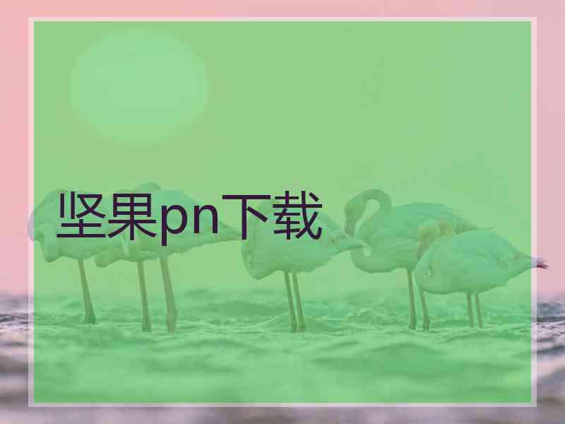坚果pn下载