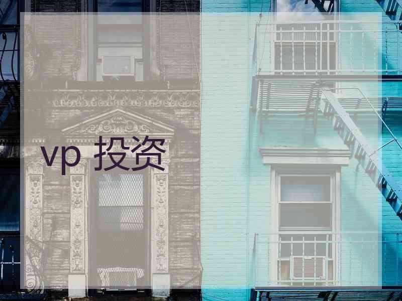 vp 投资