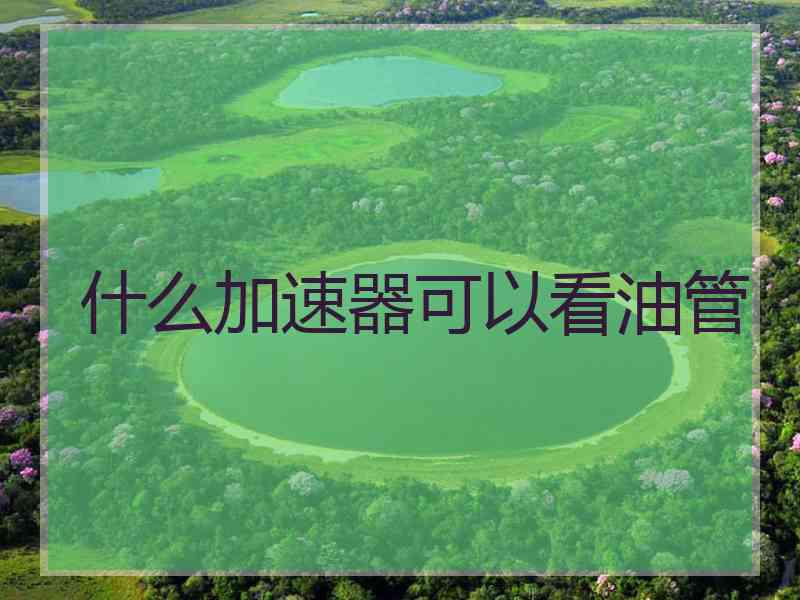 什么加速器可以看油管