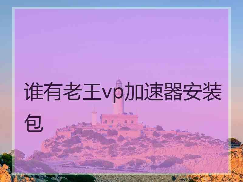 谁有老王vp加速器安装包