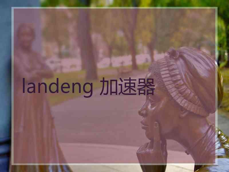 landeng 加速器