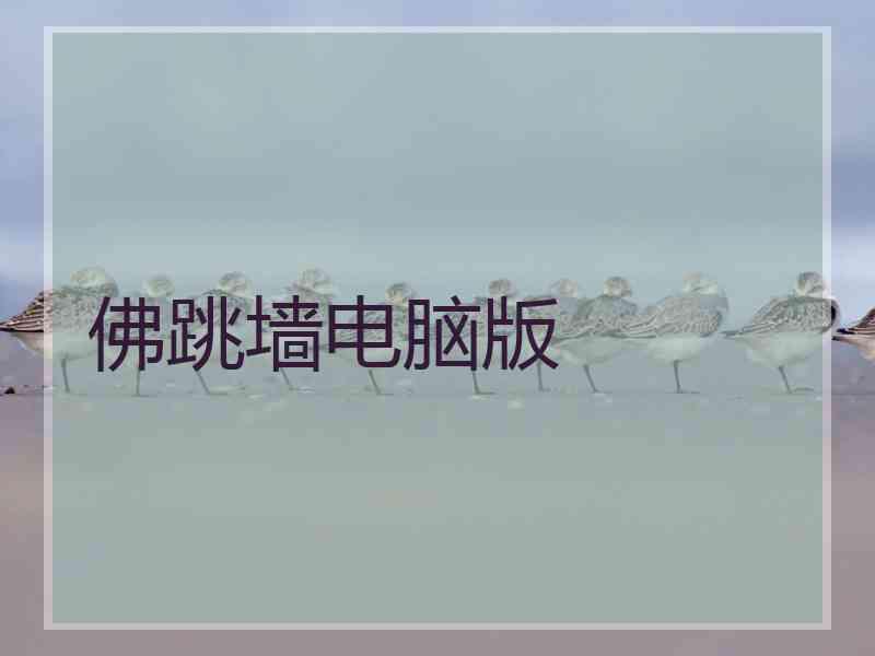佛跳墙电脑版