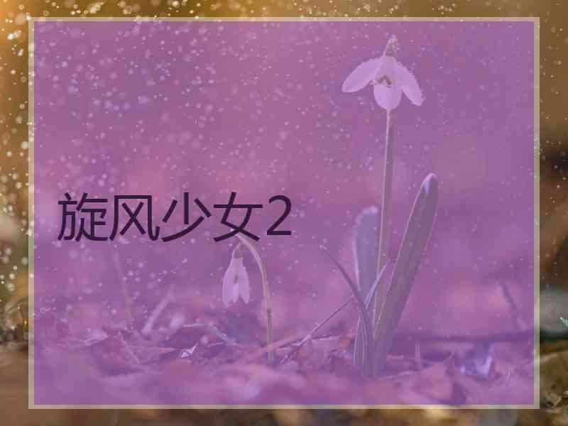 旋风少女2