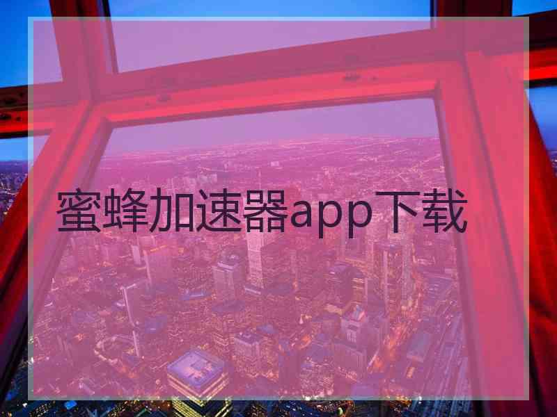 蜜蜂加速器app下载