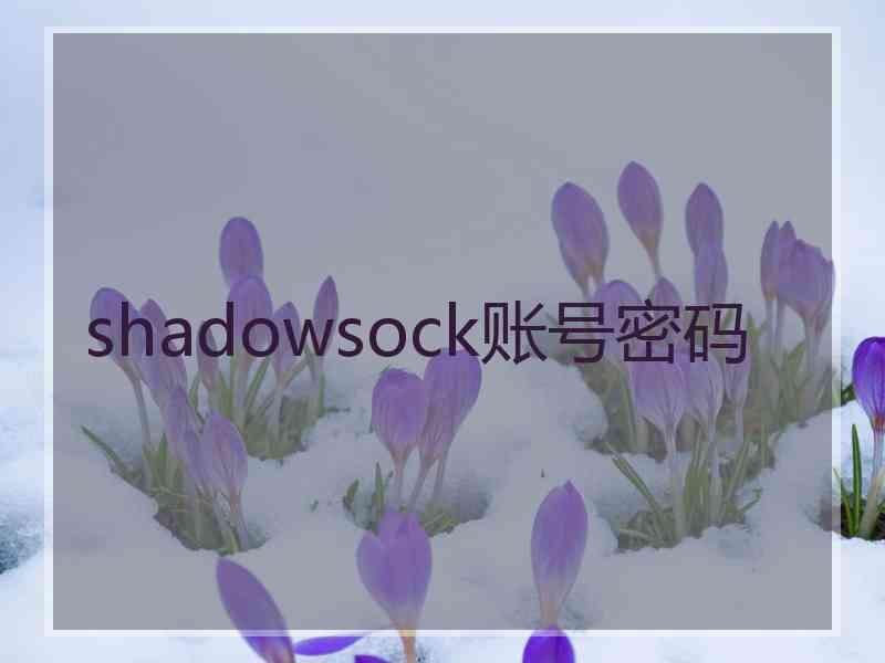 shadowsock账号密码