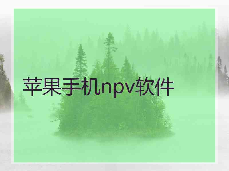 苹果手机npv软件