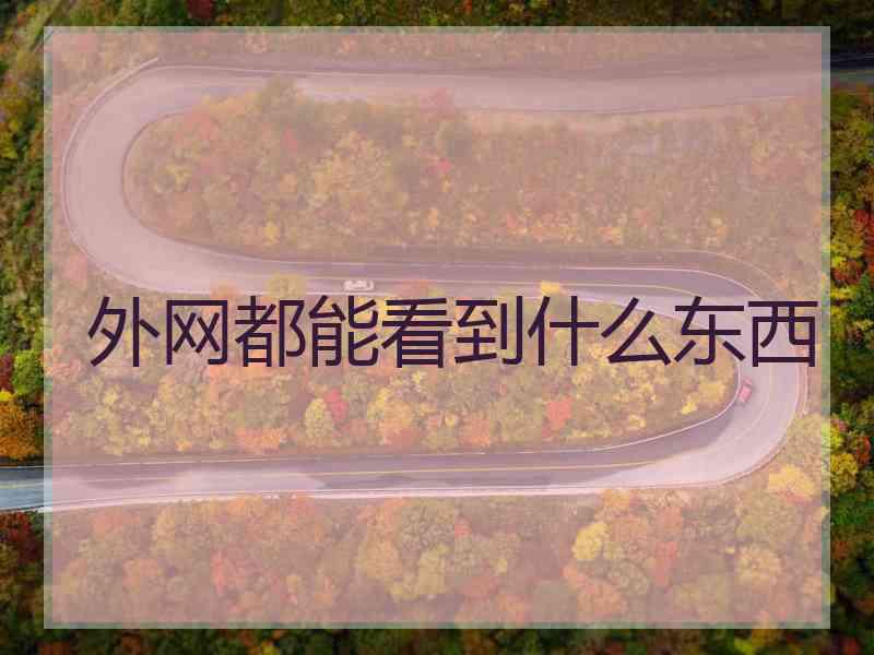 外网都能看到什么东西