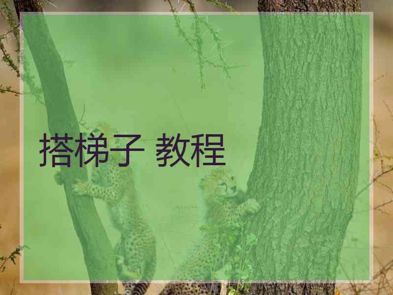 搭梯子 教程