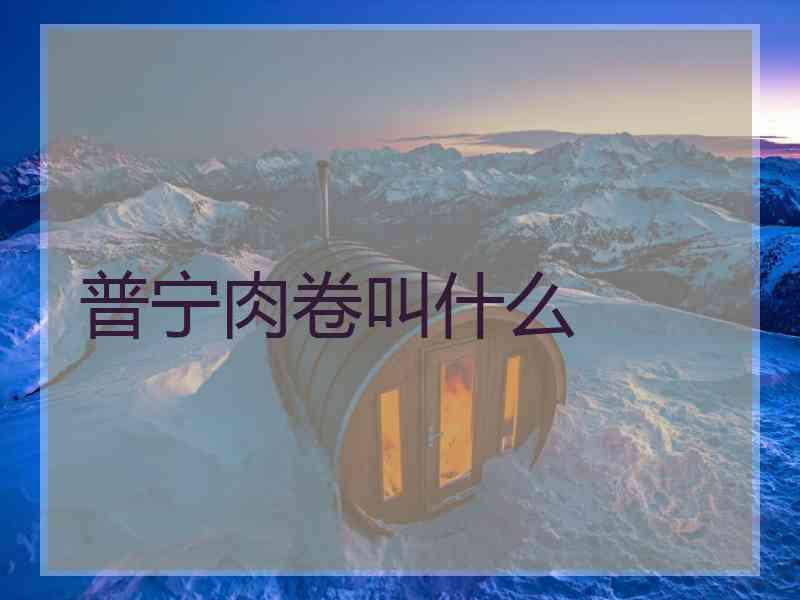 普宁肉卷叫什么