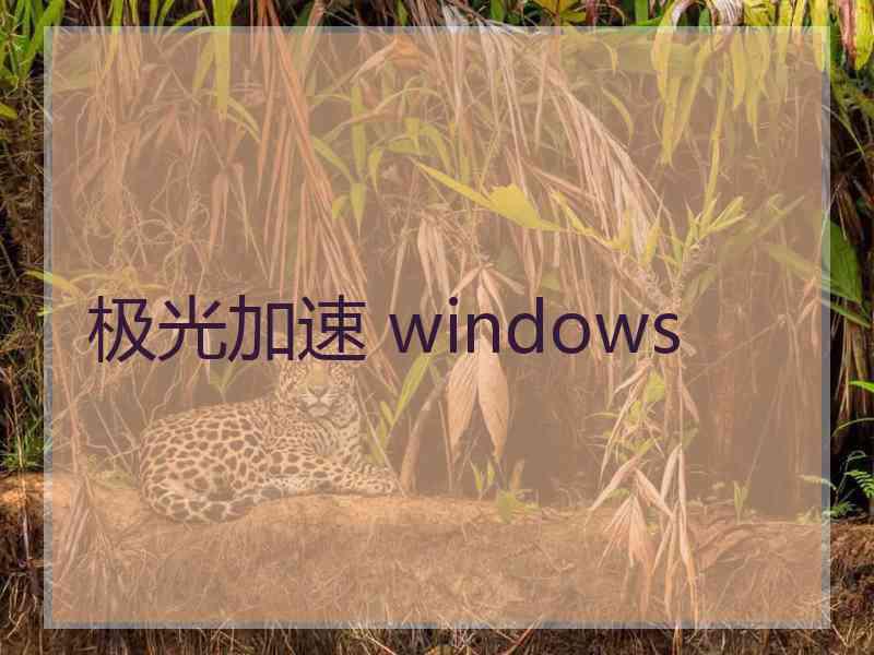 极光加速 windows