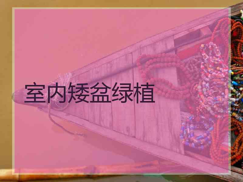 室内矮盆绿植