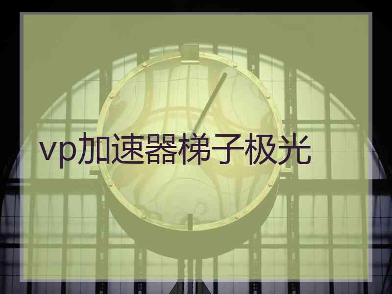 vp加速器梯子极光
