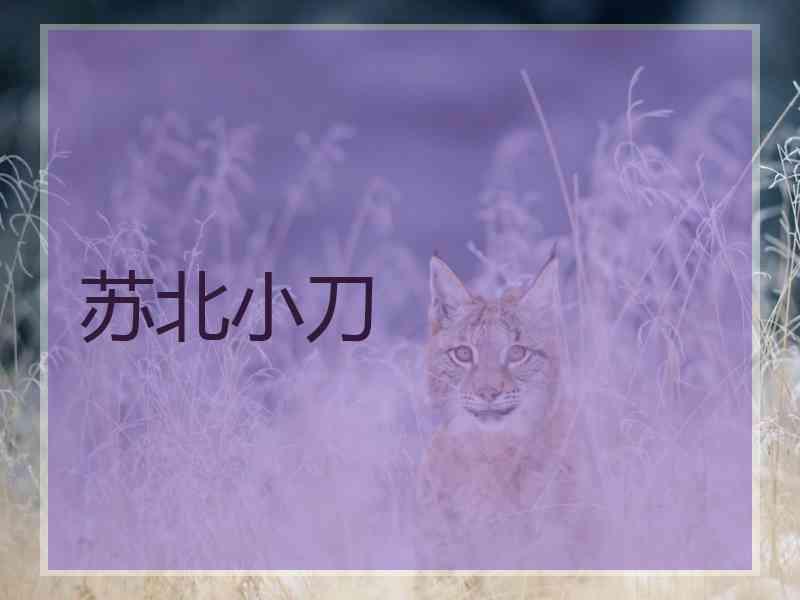 苏北小刀