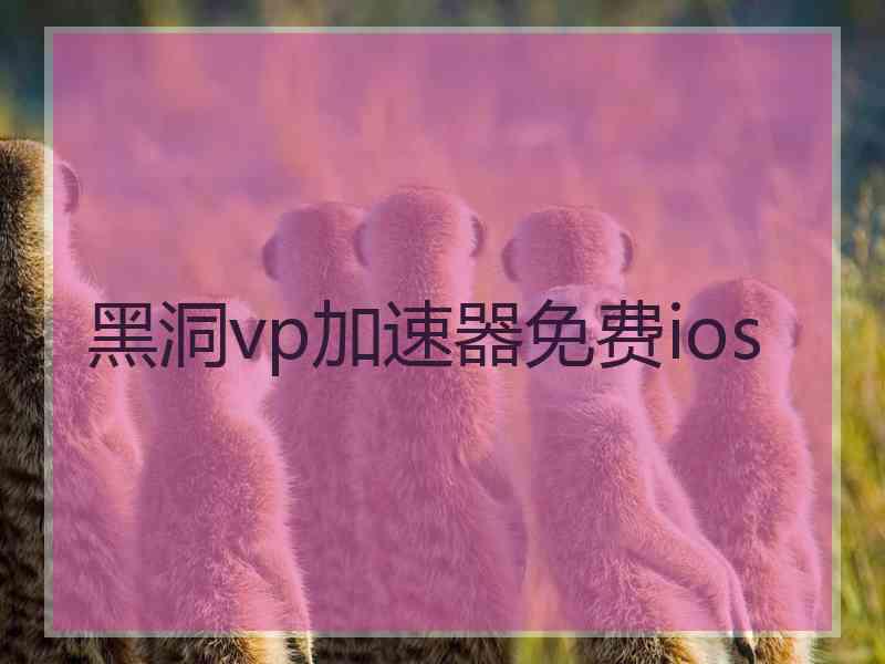 黑洞vp加速器免费ios