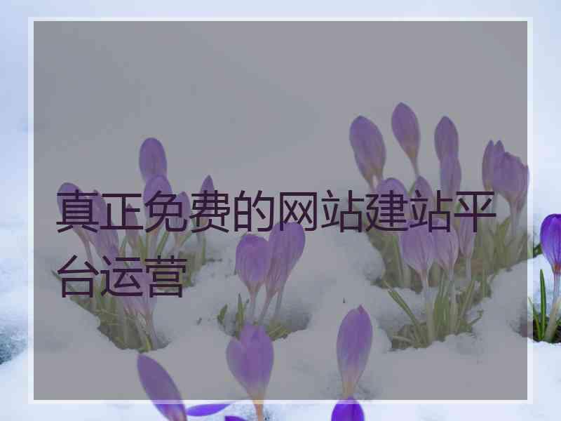真正免费的网站建站平台运营