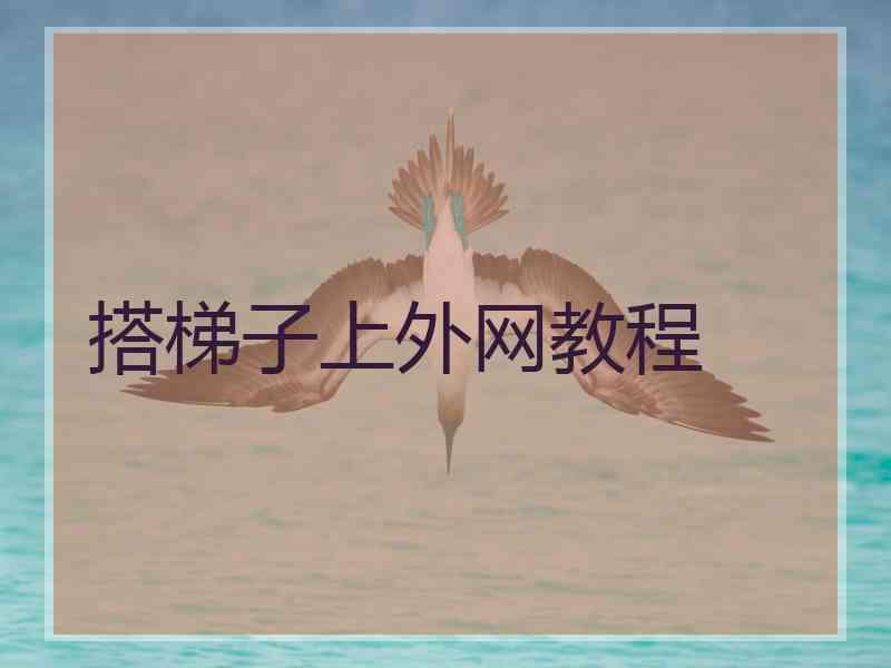 搭梯子上外网教程