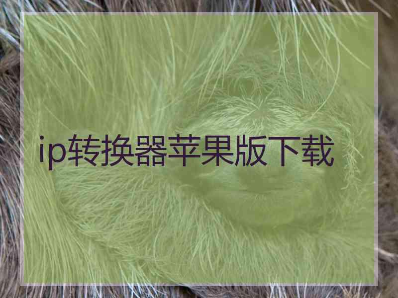 ip转换器苹果版下载