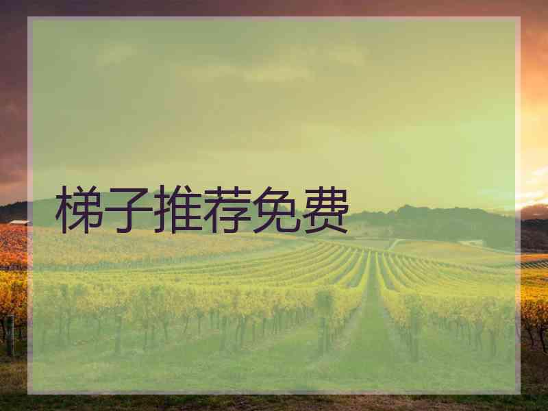 梯子推荐免费