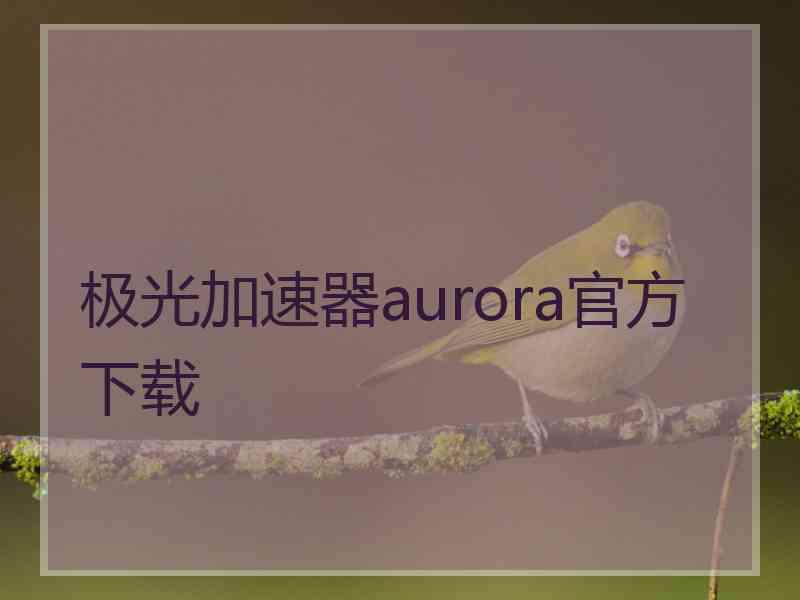 极光加速器aurora官方下载