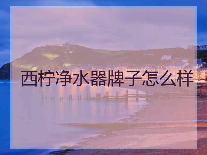 西柠净水器牌子怎么样