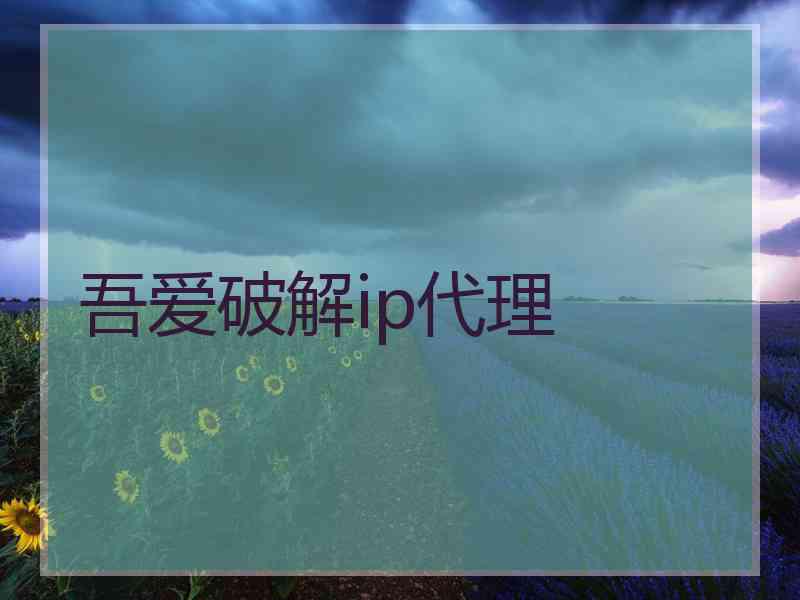 吾爱破解ip代理