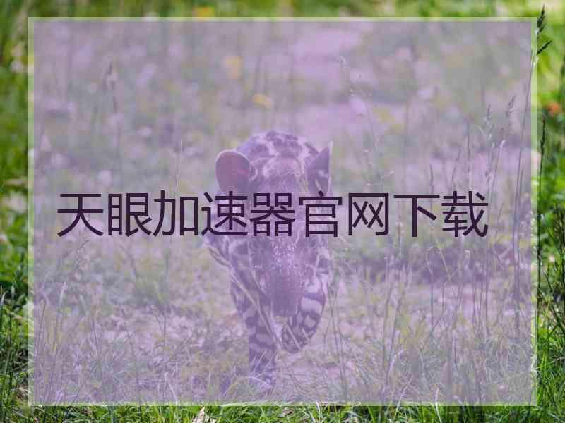 天眼加速器官网下载