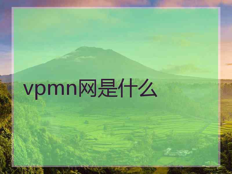 vpmn网是什么