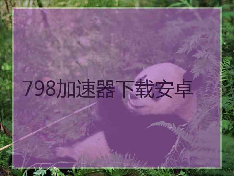 798加速器下载安卓