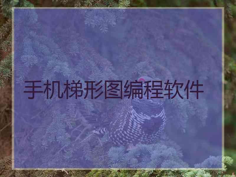 手机梯形图编程软件