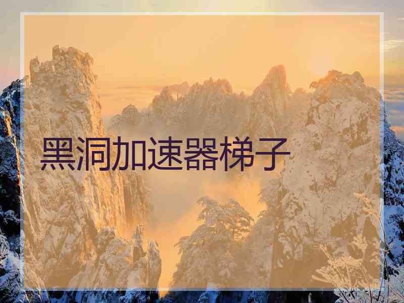 黑洞加速器梯子