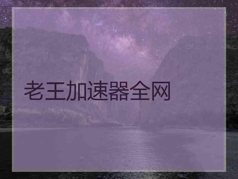 老王加速器全网