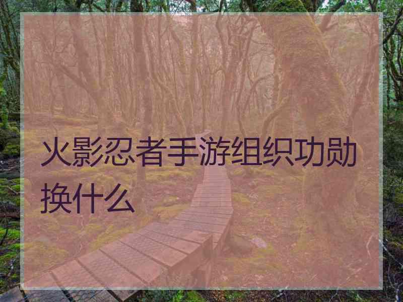 火影忍者手游组织功勋换什么