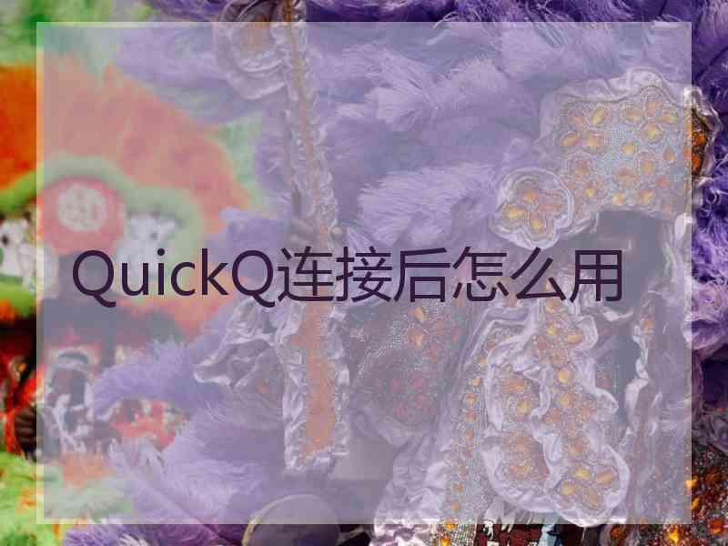 QuickQ连接后怎么用