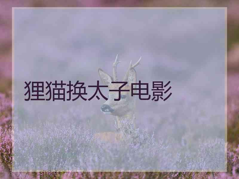 狸猫换太子电影