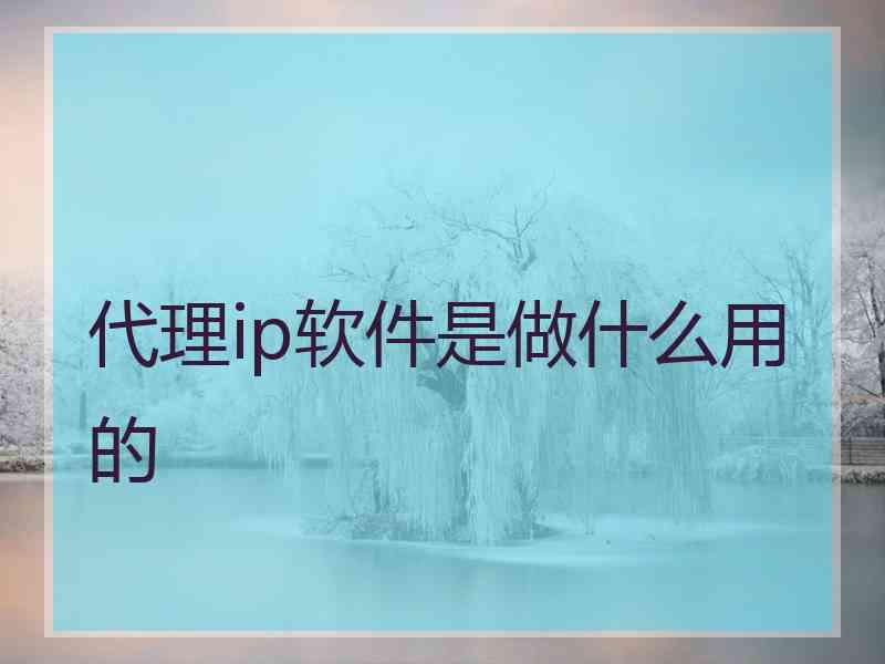 代理ip软件是做什么用的