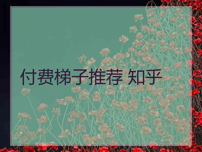 付费梯子推荐 知乎