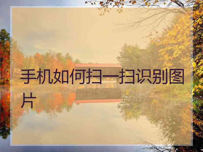 手机如何扫一扫识别图片