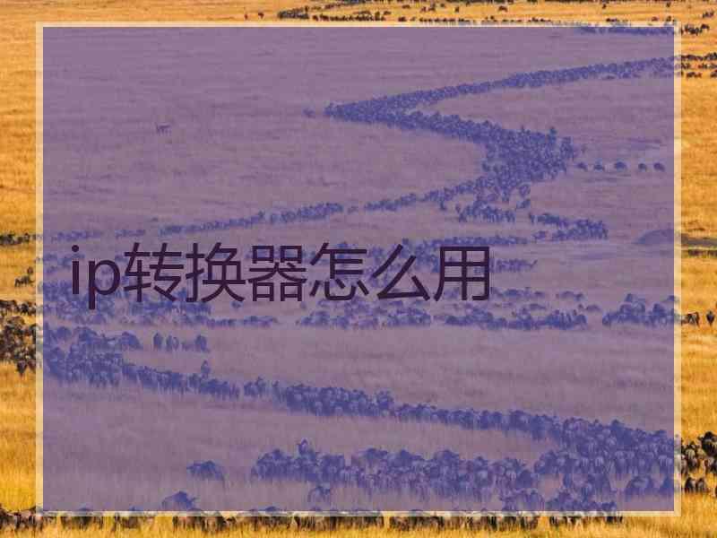 ip转换器怎么用