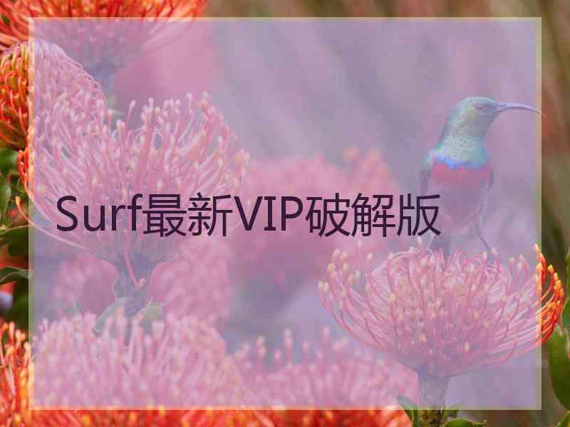 Surf最新VIP破解版