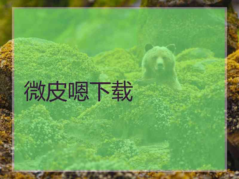 微皮嗯下载