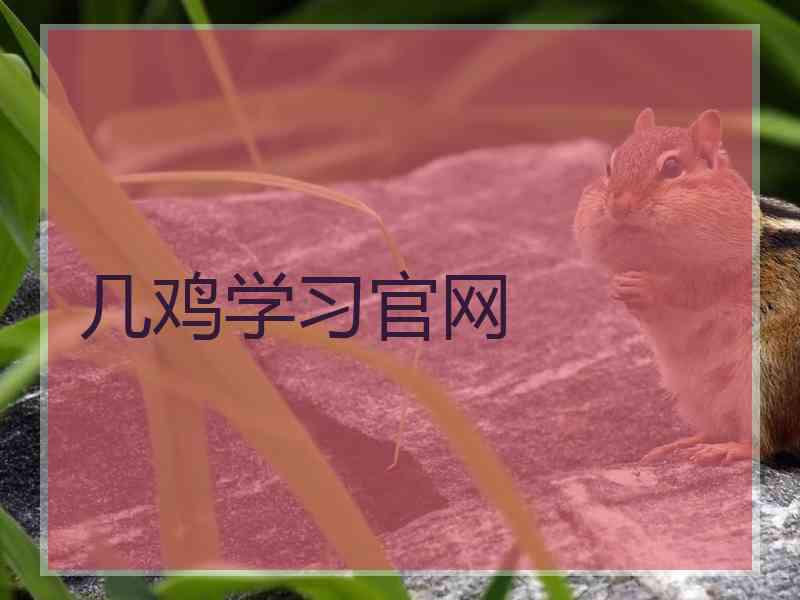 几鸡学习官网