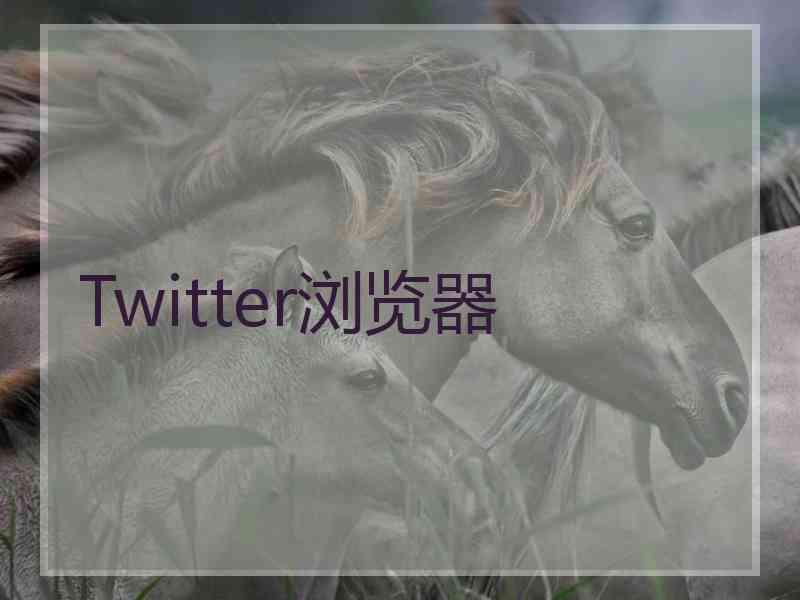 Twitter浏览器