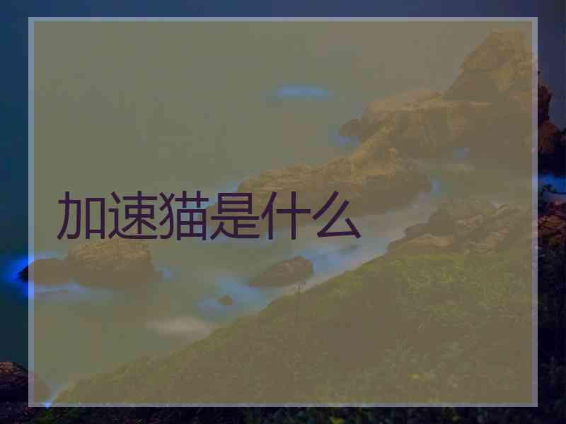 加速猫是什么