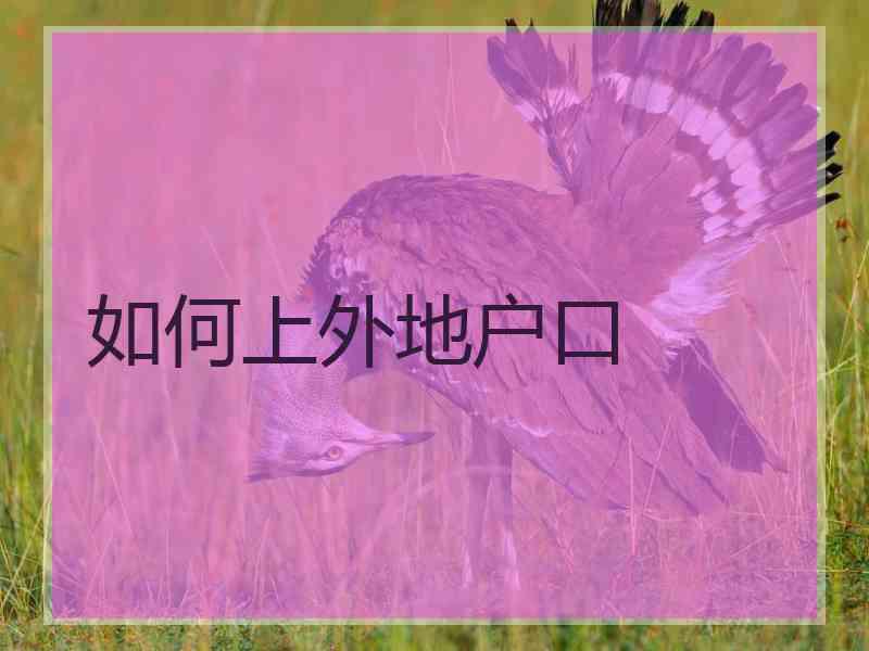 如何上外地户口