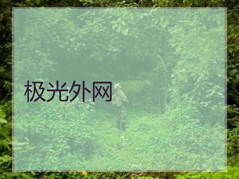 极光外网