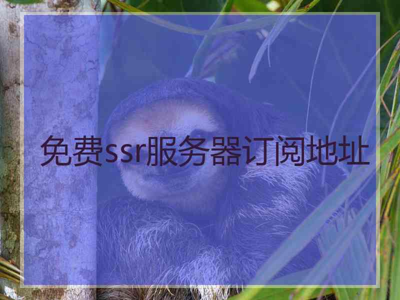 免费ssr服务器订阅地址